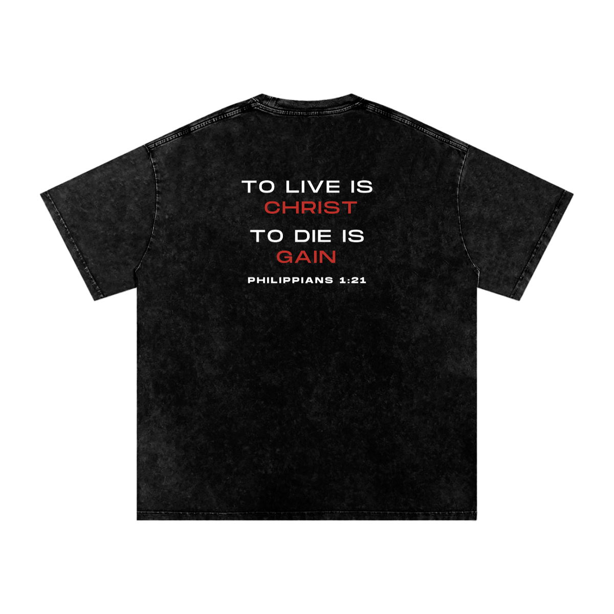 My Reason To Live Snow-Washed Tee